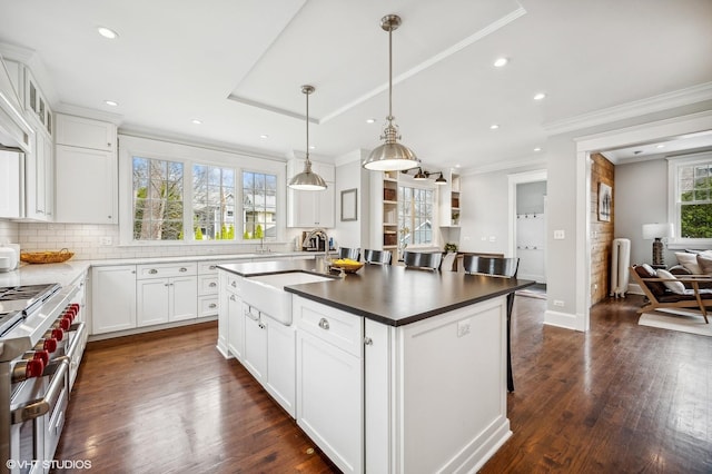 kitchen with range with two ovens, radiator heating unit, dark wood-style flooring, a center island, and a sink