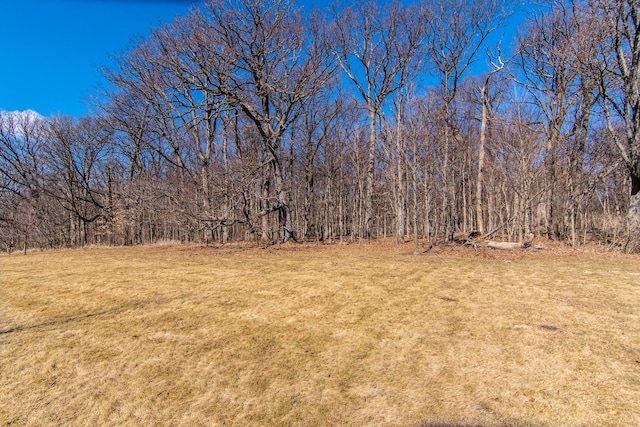 view of yard with a forest view