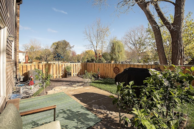 view of yard featuring a patio area and a fenced backyard