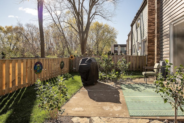 view of yard with a patio area and a fenced backyard