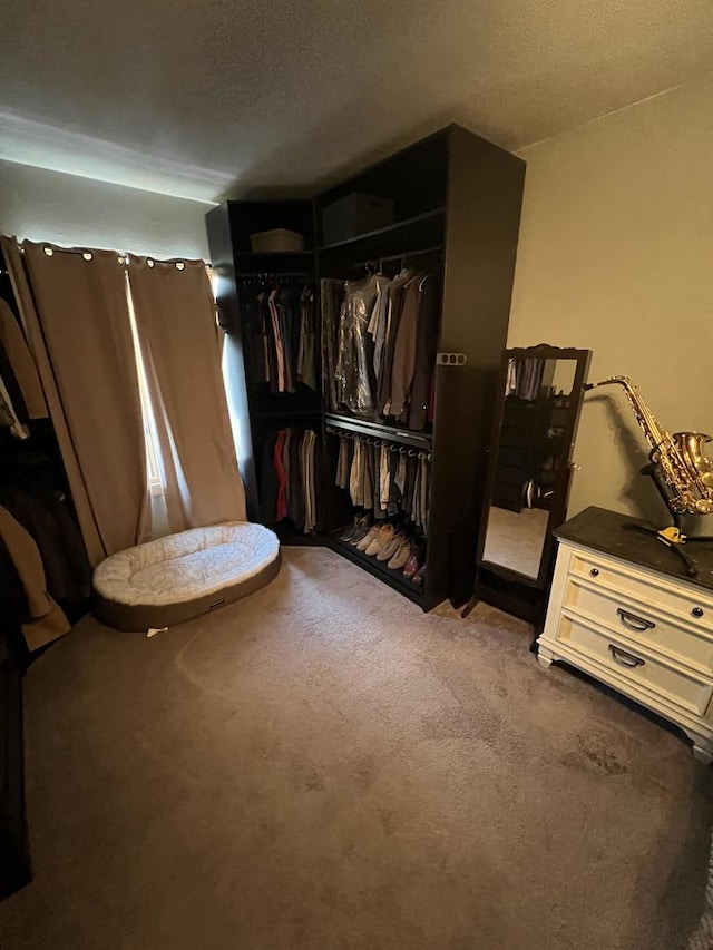 bedroom with carpet floors, a closet, and a textured ceiling