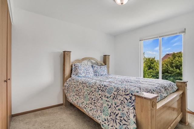 1999 N Amber Prairie Way, Lake Villa, IL 60046 - photo 20