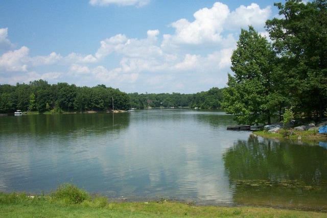 property view of water featuring a wooded view