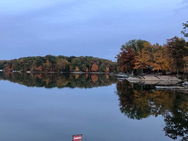 water view featuring a view of trees