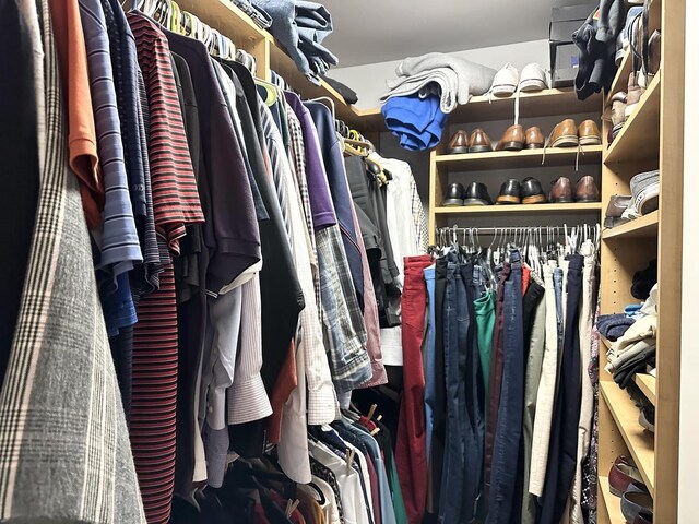 view of walk in closet