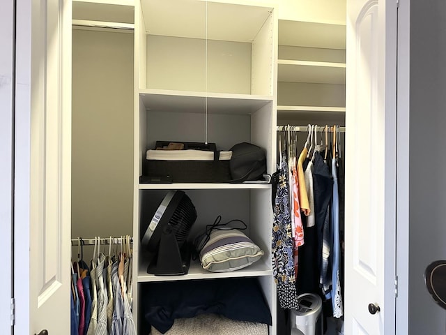 view of closet