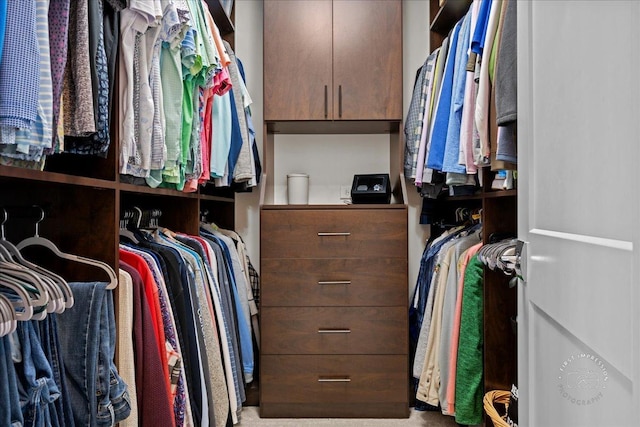 view of spacious closet