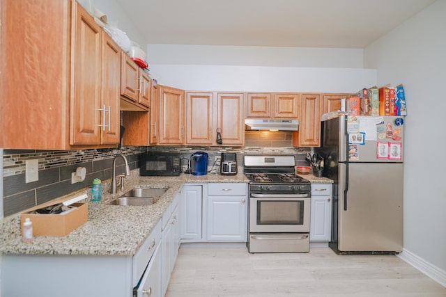 kitchen featuring tasteful backsplash, appliances with stainless steel finishes, a sink, and under cabinet range hood