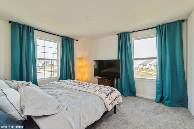bedroom with carpet flooring, baseboards, and multiple windows