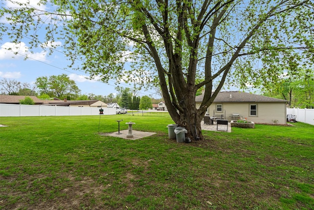 view of yard featuring a patio area