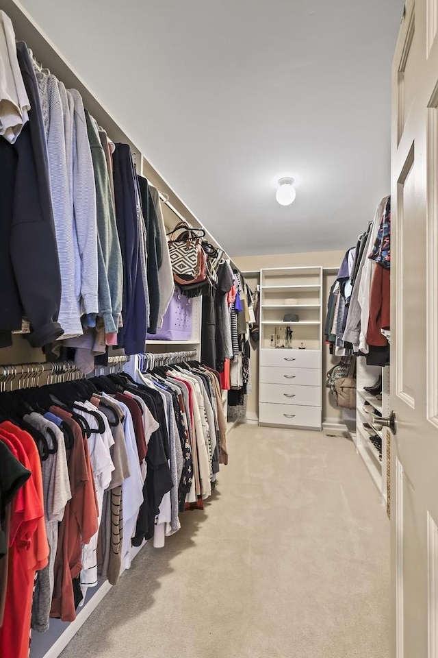 spacious closet with carpet