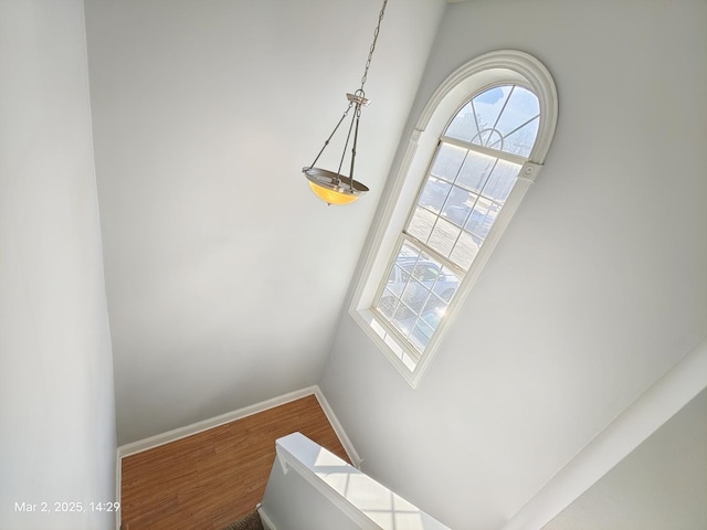 interior details featuring baseboards and wood finished floors