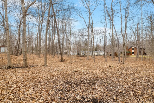 11040 W Cleveland Rd, Mokena, IL 60448 - view of yard