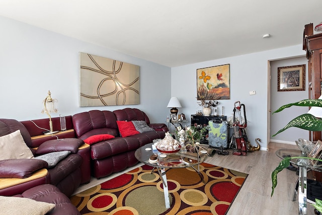 living area with baseboards and wood finished floors