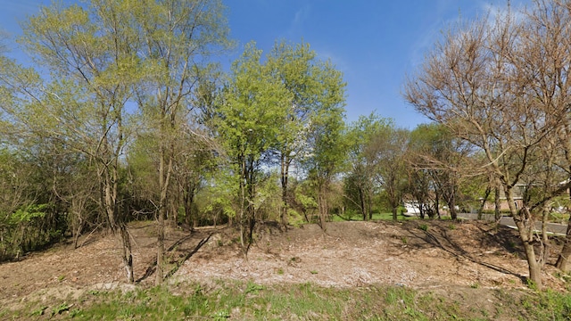 13860 Kit Ln, Lemont IL, 60439 land for sale