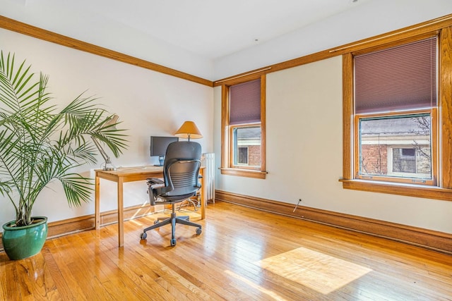 office area featuring hardwood / wood-style floors, a wealth of natural light, and baseboards