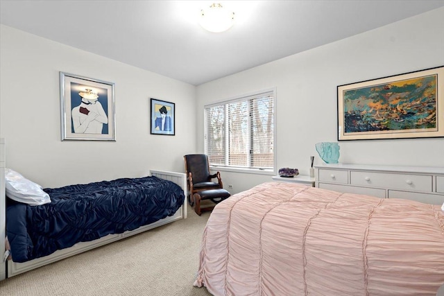 bedroom with carpet floors