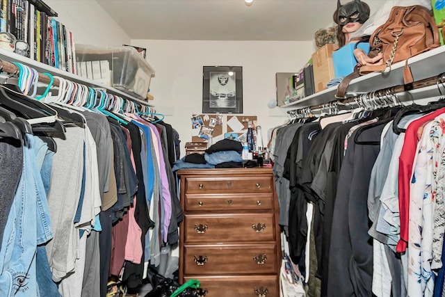 view of spacious closet