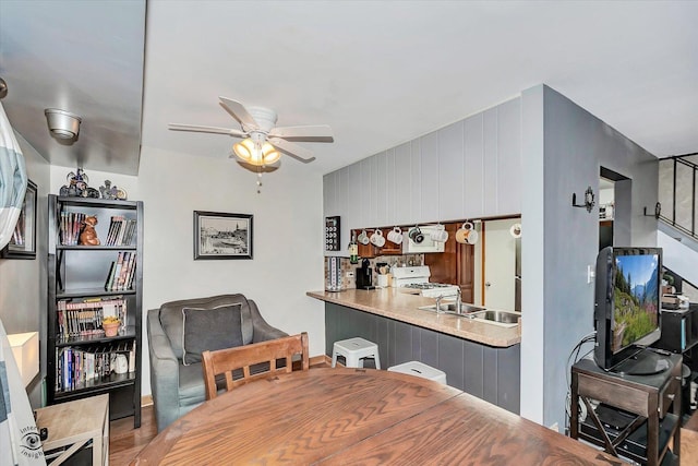 dining area with ceiling fan