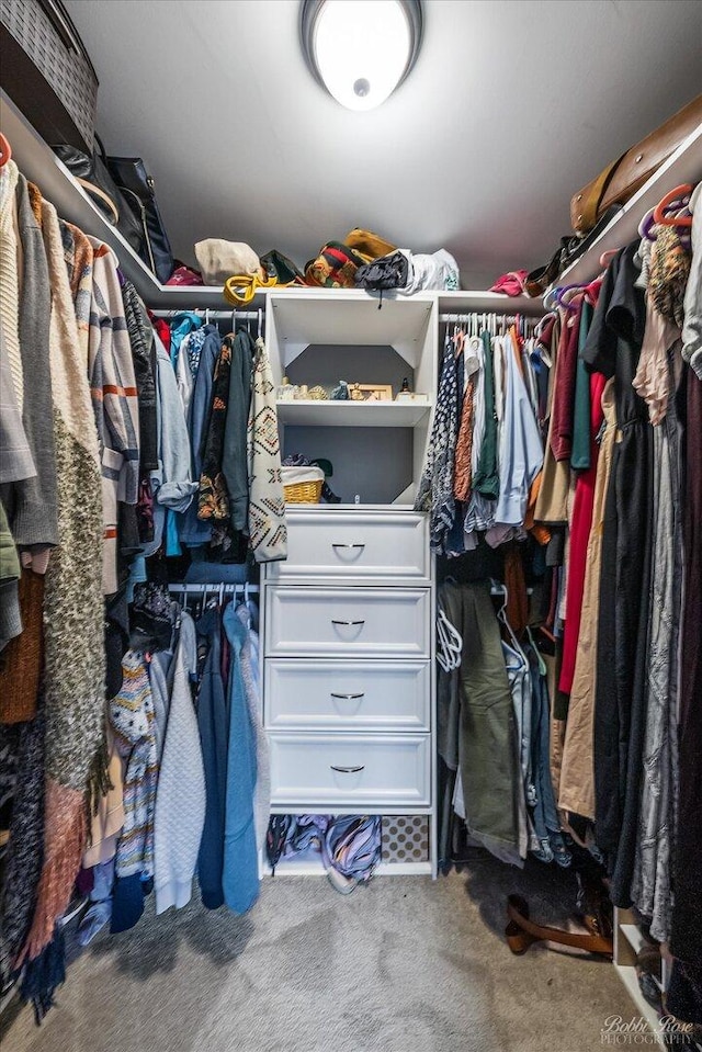 spacious closet featuring carpet