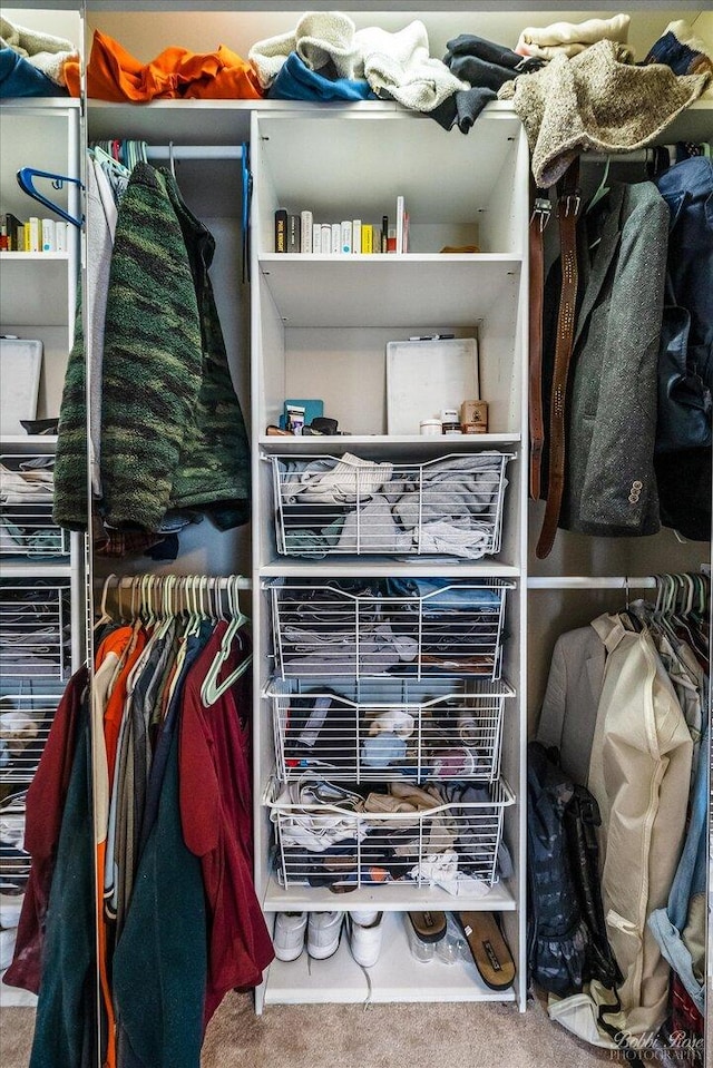 spacious closet with carpet flooring