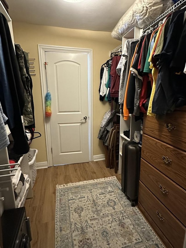 spacious closet featuring wood finished floors