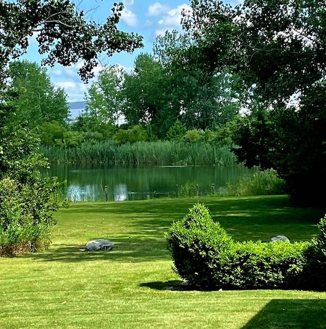 surrounding community featuring a water view and a lawn