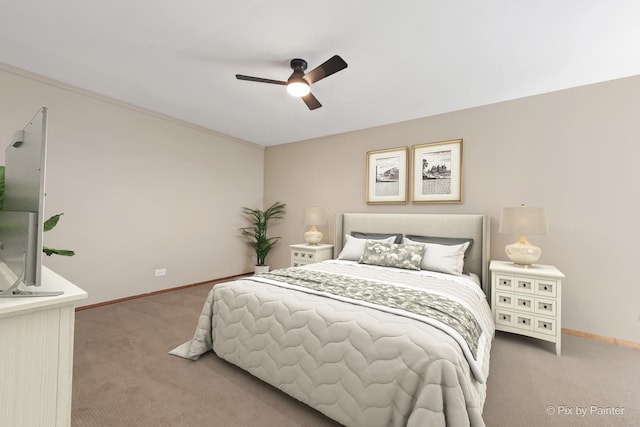 924 Colony Lake Dr, Schaumburg, IL 60194 - bedroom featuring light carpet and a ceiling fan