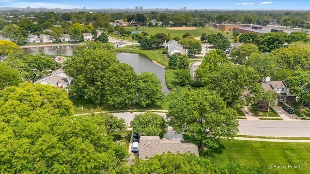 924 Colony Lake Dr, Schaumburg, IL 60194 - aerial view of a large body of water and a tree filled landscape