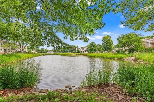 924 Colony Lake Dr, Schaumburg, IL 60194 - water view