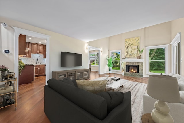 924 Colony Lake Dr, Schaumburg, IL 60194 - living room featuring light wood-style flooring and a fireplace