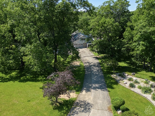 14930 W Wadsworth Rd, Wadsworth, IL 60083 - view of asphalt driveway