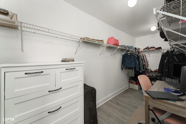 walk in closet featuring wood finished floors