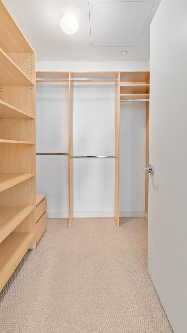 spacious closet featuring carpet