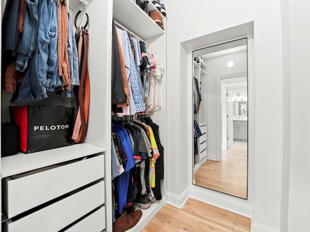 walk in closet with light wood-style floors