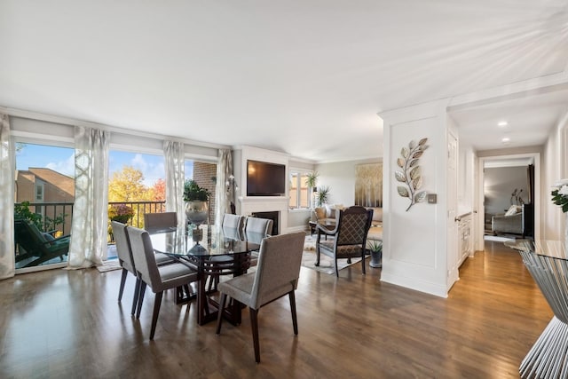 dining space featuring dark wood-style floors and a fireplace