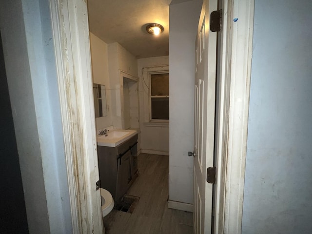 bathroom featuring vanity, toilet, and wood finished floors