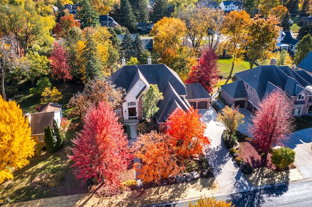 bird's eye view