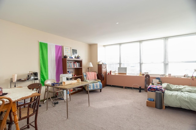 655 W Irving Park Rd Unit 909, Chicago, IL 60613 - living area with carpet