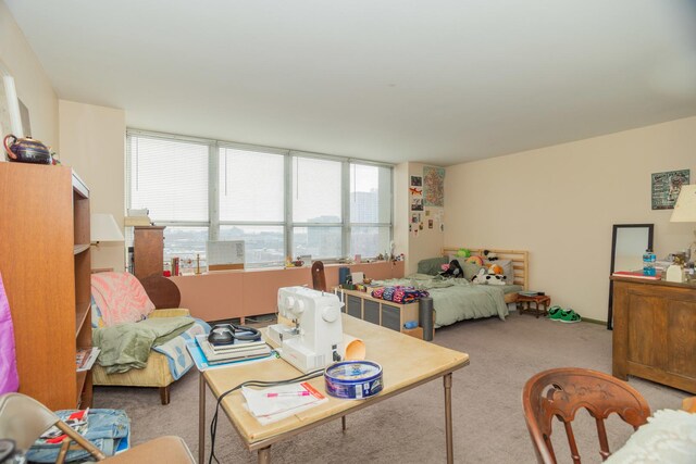 655 W Irving Park Rd Unit 909, Chicago, IL 60613 - carpeted living area featuring healthy amount of natural light