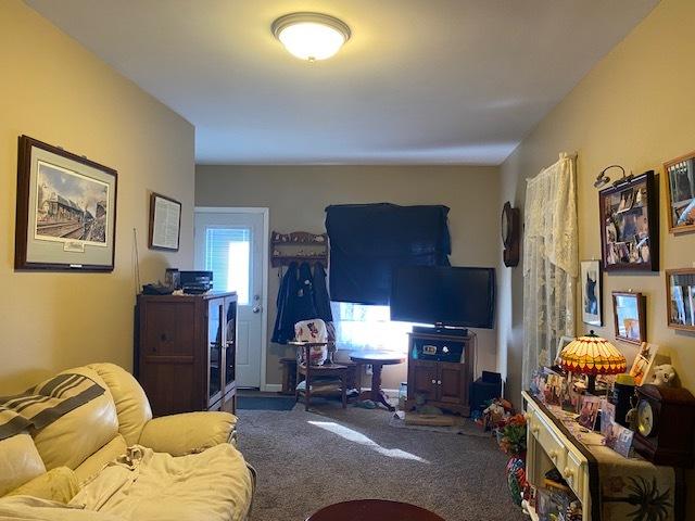 view of carpeted living area