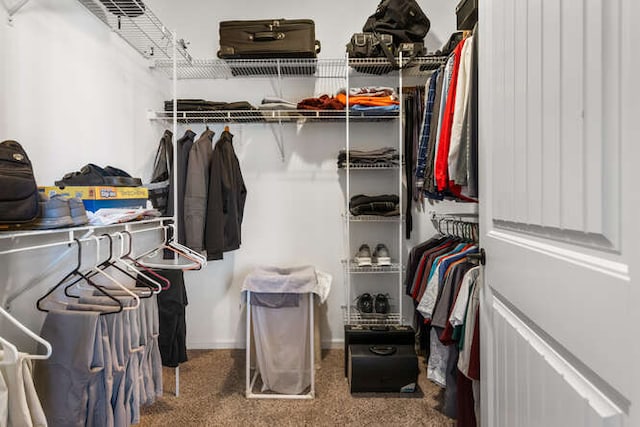 view of walk in closet