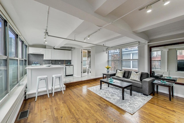 living room with a wealth of natural light, visible vents, and light wood-style flooring