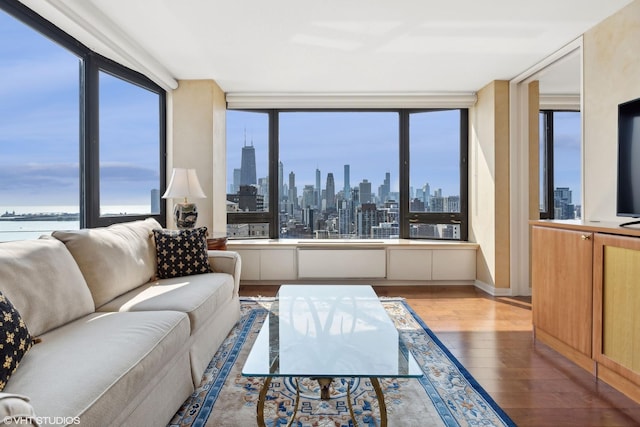 living area with a water view and wood finished floors