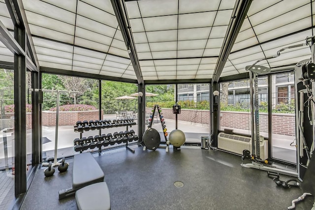 exercise room featuring plenty of natural light