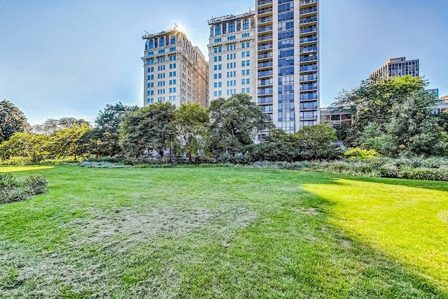 view of community featuring a yard