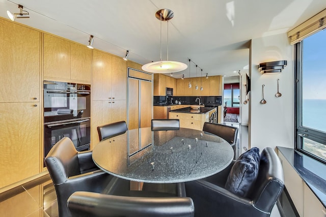 dining space featuring plenty of natural light and track lighting