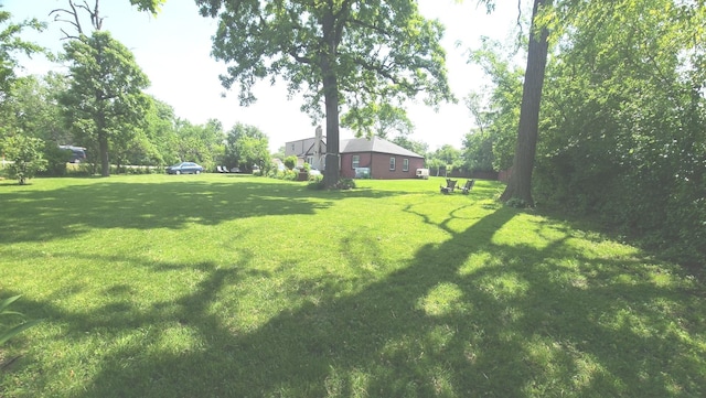 4N553 Il Route 83, Bensenville, IL 60106 - view of grassy yard