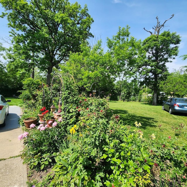 4N553 Il Route 83, Bensenville, IL 60106 - view of green lawn