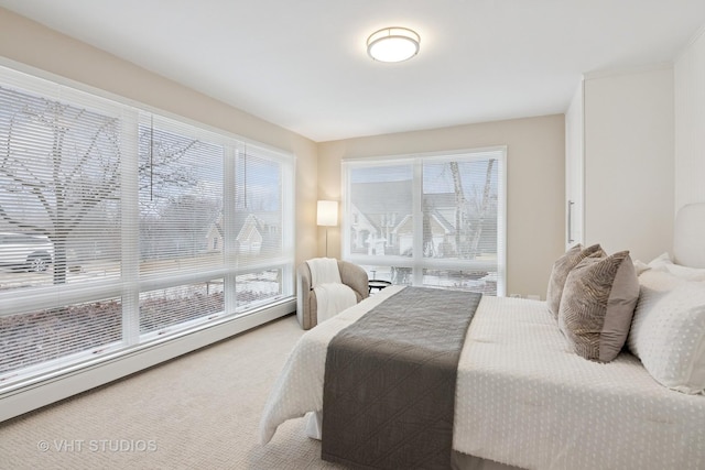 bedroom featuring a baseboard radiator and carpet flooring